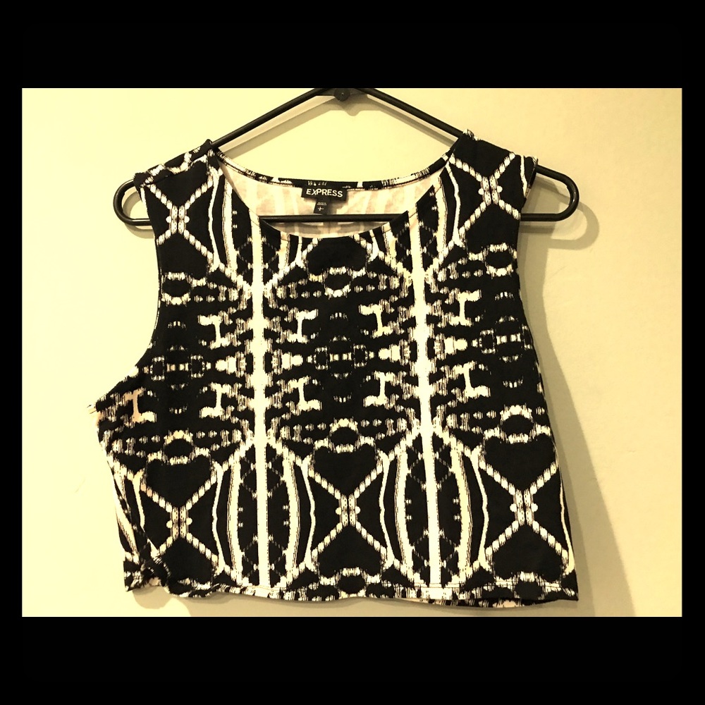 Express Crop Top (large)